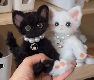 Black and white pearl collar cat