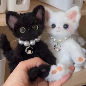 Black and white pearl collar cat